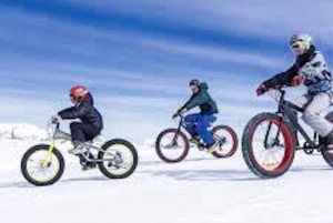 Journée complète au parc Farellones avec billet