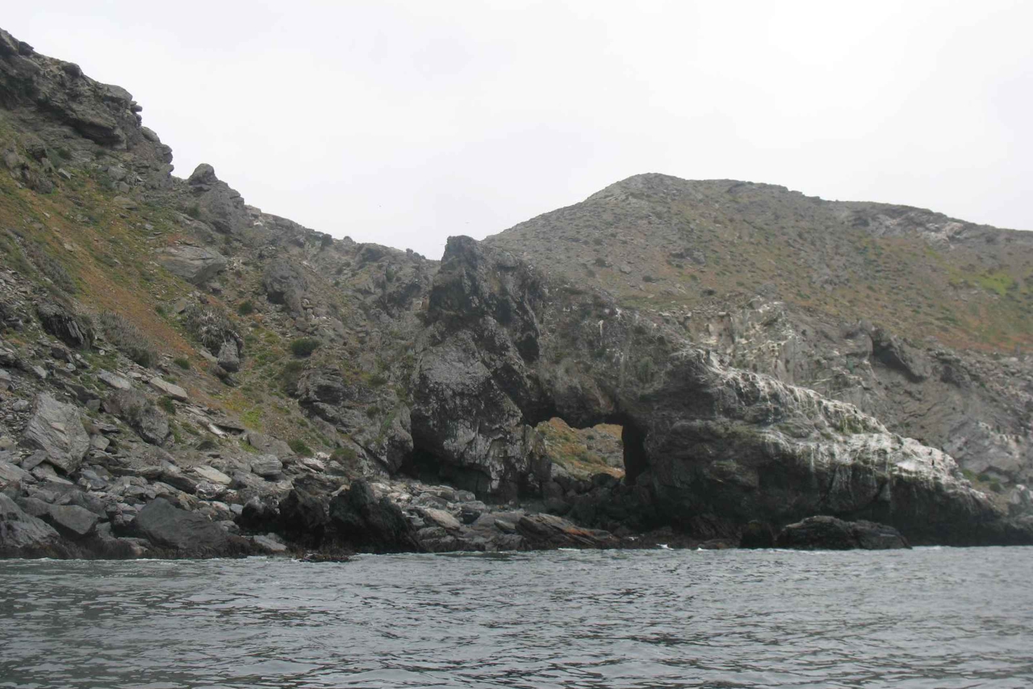 Ganztägiger Ausflug zur Isla Damas und zum Humbolt Pinguino National Reserve