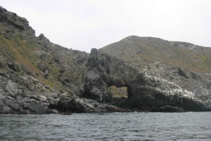 Ganztägiger Ausflug zur Isla Damas und zum Humbolt Pinguino National Reserve