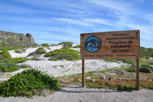 Ganztägiger Ausflug zur Isla Damas und zum Humbolt Pinguino National Reserve