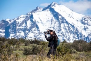 Heldag i Torres del Paine – Privat