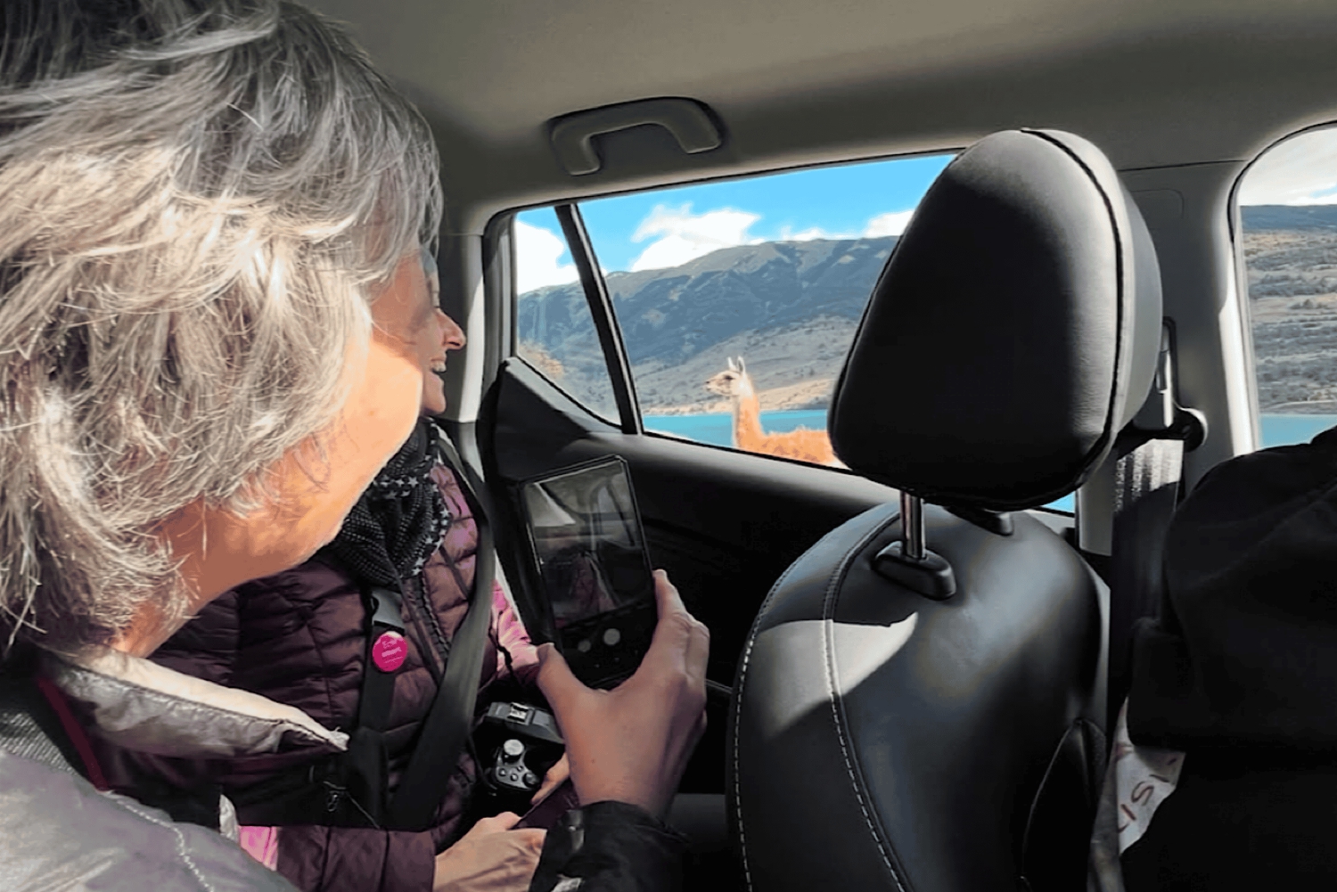 Heldagstur: TORRES DEL PAINE, BESØK DET 8. UNDERVERK (fra Puerto Natales)