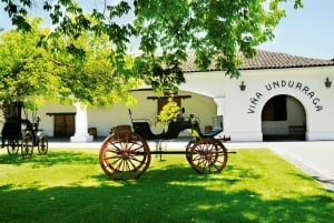 Heldagstur til Isla Negra, Algarrobo & Undurraga vingård
