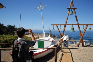 Экскурсия на целый день на остров Негра, Альгарробо и винодельню Ундуррага