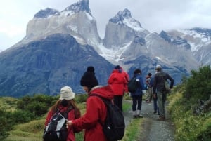 Full-Day Tour to Torres del Paine National Park