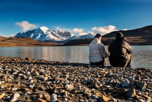 Full-Day Tour to Torres del Paine National Park