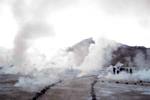 Gayser de Tatio - rundtur : San Pedro de Atacama - Chile