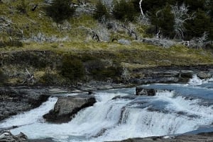 Get to know and enjoy the Torres del Paine lookout points