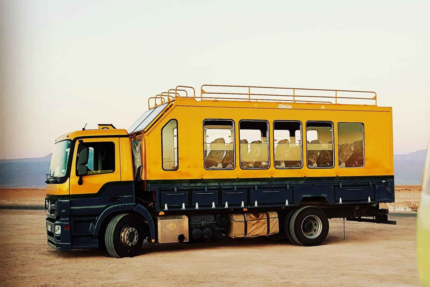 San Pedro de Atacama: Tatio Geyser tour in safaribus