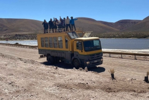 San Pedro de Atacama: Tour al Géiser del Tatio en autobús safari