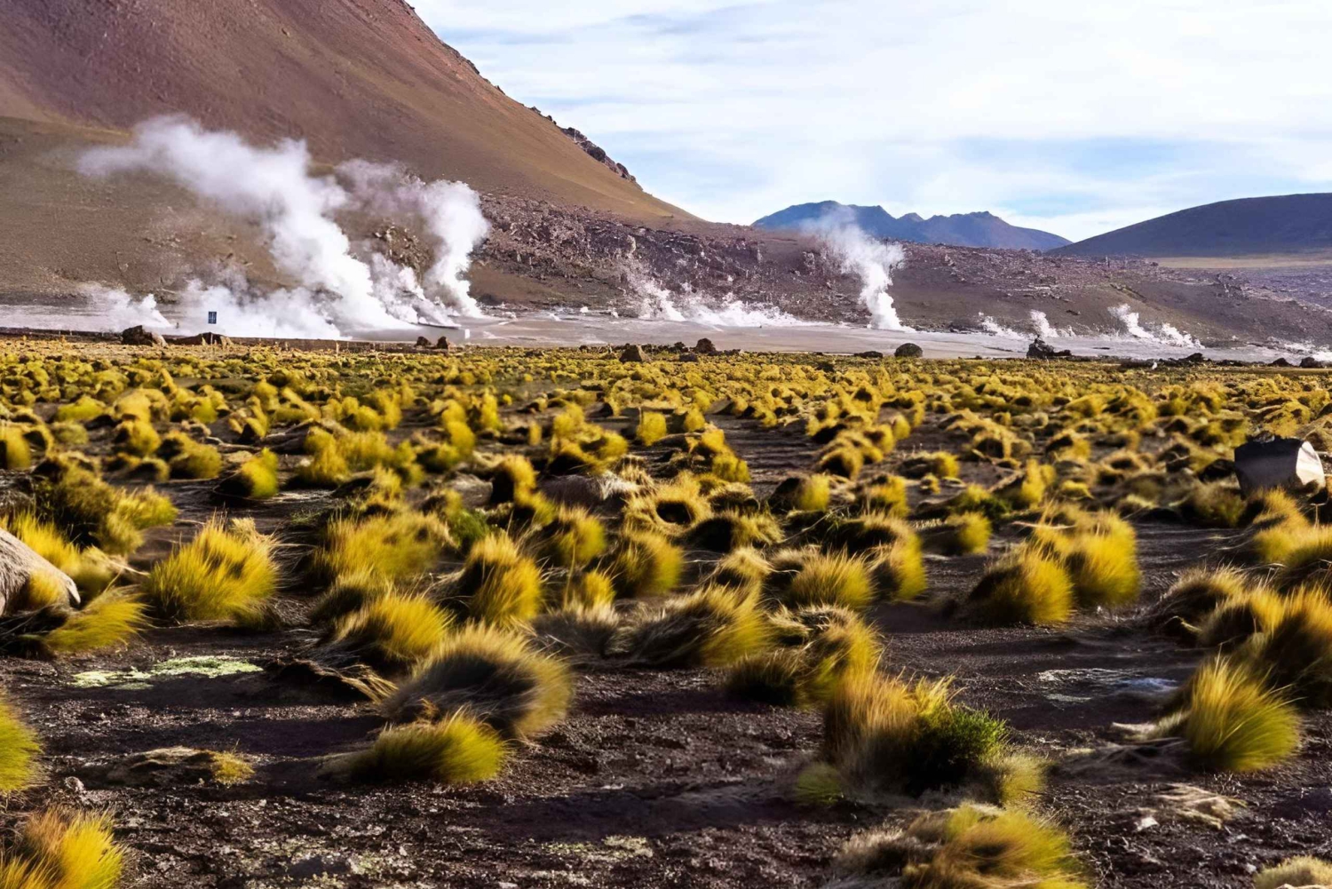 Geysers del Tatio : Lever de soleil et petit-déjeuner à Atacama