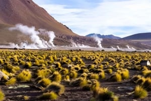 Geysers del Tatio : Lever de soleil et petit-déjeuner à Atacama
