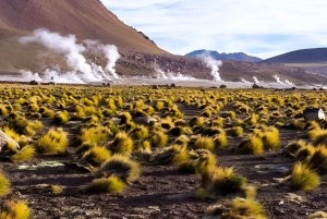 Geysers del Tatio : Lever de soleil et petit-déjeuner à Atacama