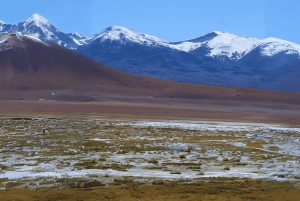 Geysers del Tatio : Lever de soleil et petit-déjeuner à Atacama