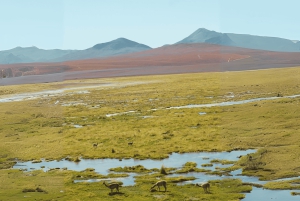 Geysers del Tatio : Lever de soleil et petit-déjeuner à Atacama