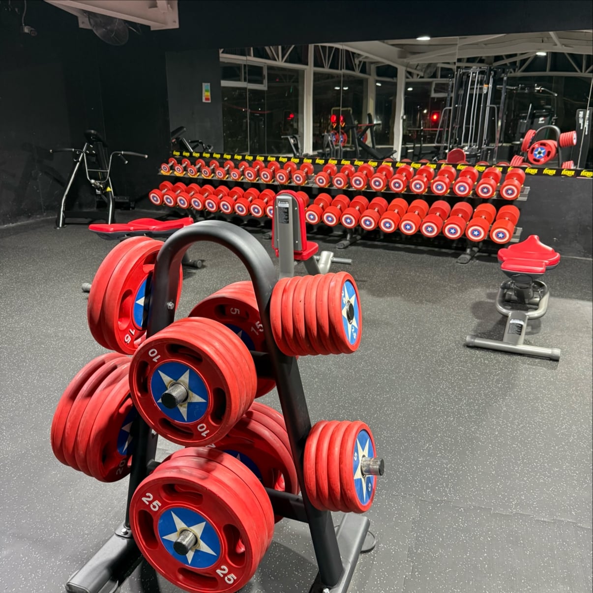 Gimnasio Fitnex