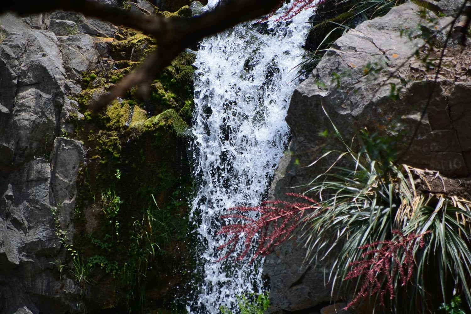 Geführte Wanderung in Córdoba, Argentinien – Natur und Wasserfälle