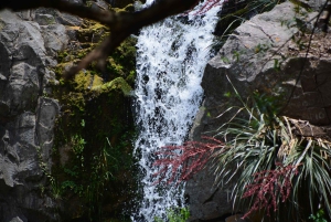 Geführte Wanderung in Córdoba, Argentinien – Natur und Wasserfälle