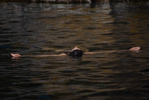 Geführte Wanderung in Córdoba, Argentinien – Natur und Wasserfälle