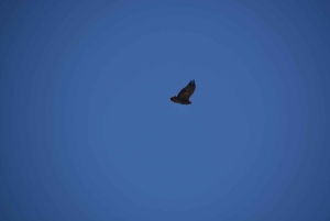 Geführte Wanderung in Córdoba, Argentinien – Natur und Wasserfälle