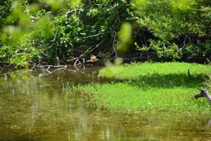 Geführte Wanderung in Córdoba, Argentinien – Natur und Wasserfälle