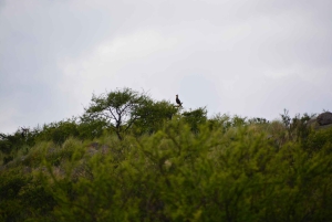 Geführte Wanderung in Córdoba, Argentinien – Natur und Wasserfälle