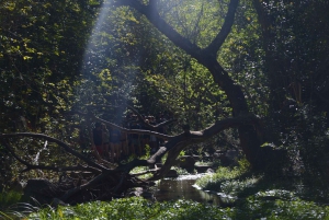 Geführte Wanderung in Córdoba, Argentinien – Natur und Wasserfälle