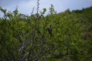Geführte Wanderung in Córdoba, Argentinien – Natur und Wasserfälle