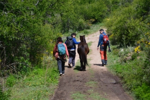 Geführte Wanderung in Córdoba, Argentinien – Natur und Wasserfälle