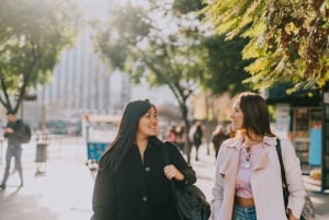 Private Guided Tour of Santiago’s Historic Highlights