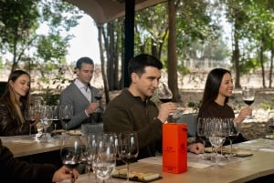 GUIDAD TUR I VINCENTRUM (UTAN SENSORISKT MUSEUM) + MARQUES DE CASA CONCHA