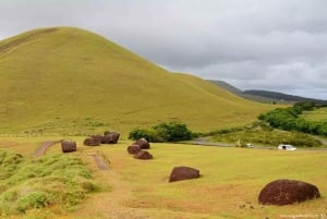 Half Day Ahu Akivi The Seven Moais in Easter Island