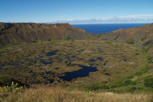 Puolipäiväretki Orongoon ja Rano Kauhun Pääsiäissaarella