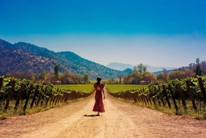 Santiago: Halbtagestour zum Weingut Santa Rita