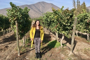 Santiago: Halbtagestour zum Weingut Santa Rita
