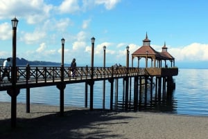 Puerto Varas: Half-Day Tour to Frutillar and Llanquihue
