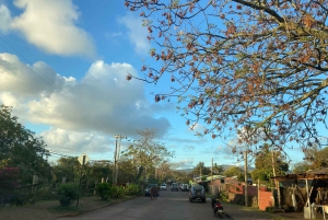 Hanga Roa: The only city of Rapa Nui