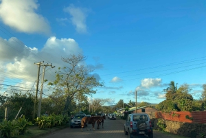 Hanga Roa: The only city of Rapa Nui