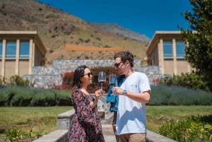 Haras Experience: Vineyard Getaway, Wine & Tastings