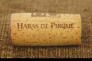 Haras Experience: Vineyard Getaway, Wine & Tastings