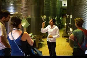 Haras Experience: Vineyard Getaway, Wine & Tastings