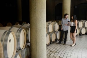 Haras Experience: Vineyard Getaway, Wine & Tastings