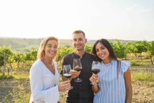 Haras Experience: Vineyard Getaway, Wine & Tastings