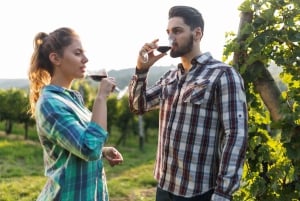 Haras Experience: Vineyard Getaway, Wine & Tastings