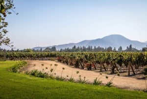 Haras Experience: Vineyard Getaway, Wine & Tastings