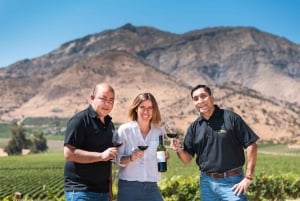 Haras Experience: Vineyard Getaway, Wine & Tastings