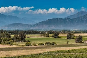 Haras Experience: Vineyard Getaway, Wine & Tastings