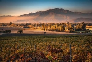 Haras Experience: Vineyard Getaway, Wine & Tastings