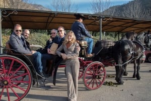 Haras Experience: Vineyard Getaway, Wine & Tastings