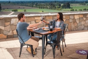 Haras Experience: Vineyard Getaway, Wine & Tastings
